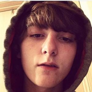 Meet your Posher, Harley